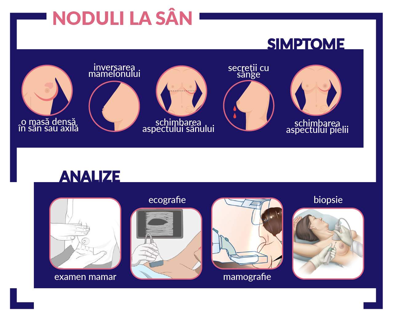 Noduli la sân