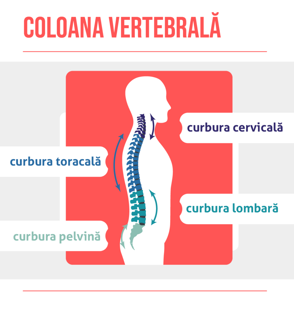 Medic: Problemele coloanei vertebrale, una dintre cauzele principale ale impotenţei