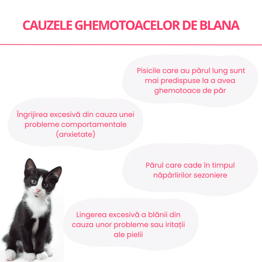 Cauzele ghemotoacelor de blană