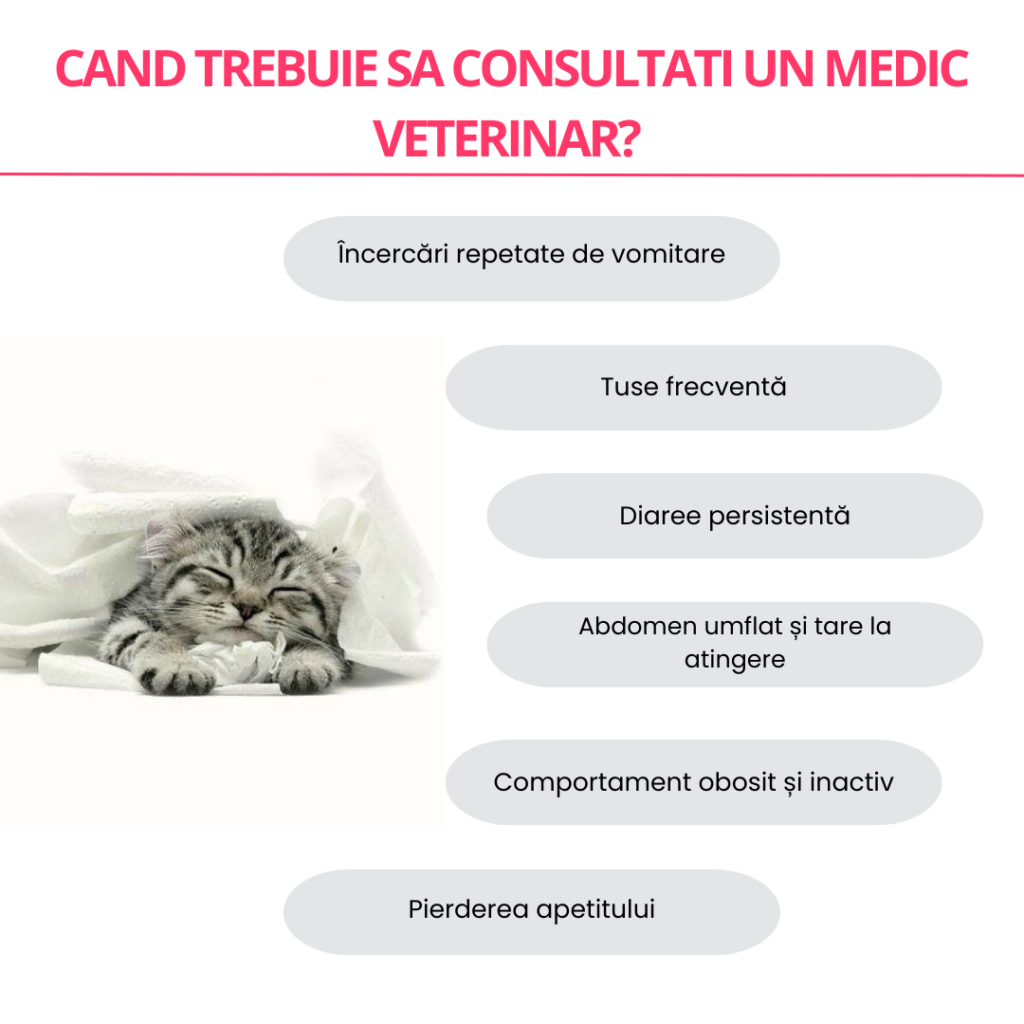 Cand trebuie sa consultati medicul veterinar