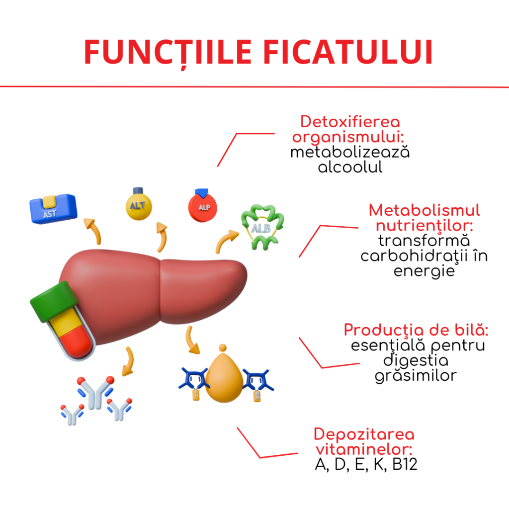 functiile ficatului 
